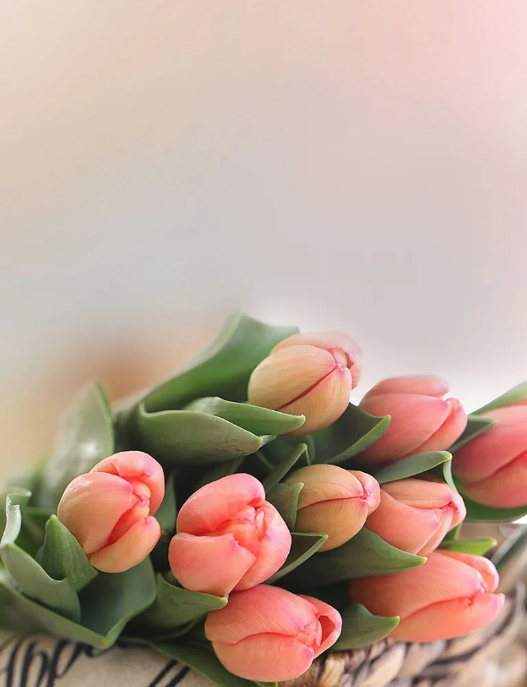 Поздравляем с 8 марта!